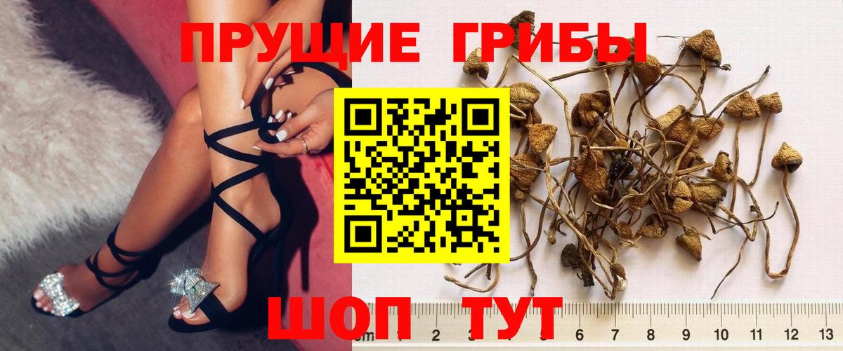 Псилоцибиновые грибы мухоморы Иваново