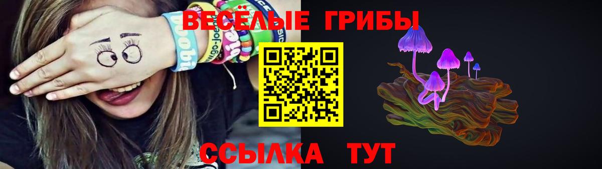 Псилоцибиновые грибы GOLDEN TEACHER  Вход с VPN  Иваново  Галлюциногенные грибы Magic Shrooms 
